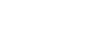 Carpet Style