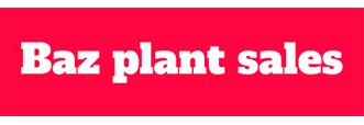 Baz Plant Sales