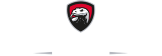 Komodo Chairs