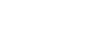 Mike Chadwick Surveys